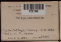 Image Associated With the Occurence